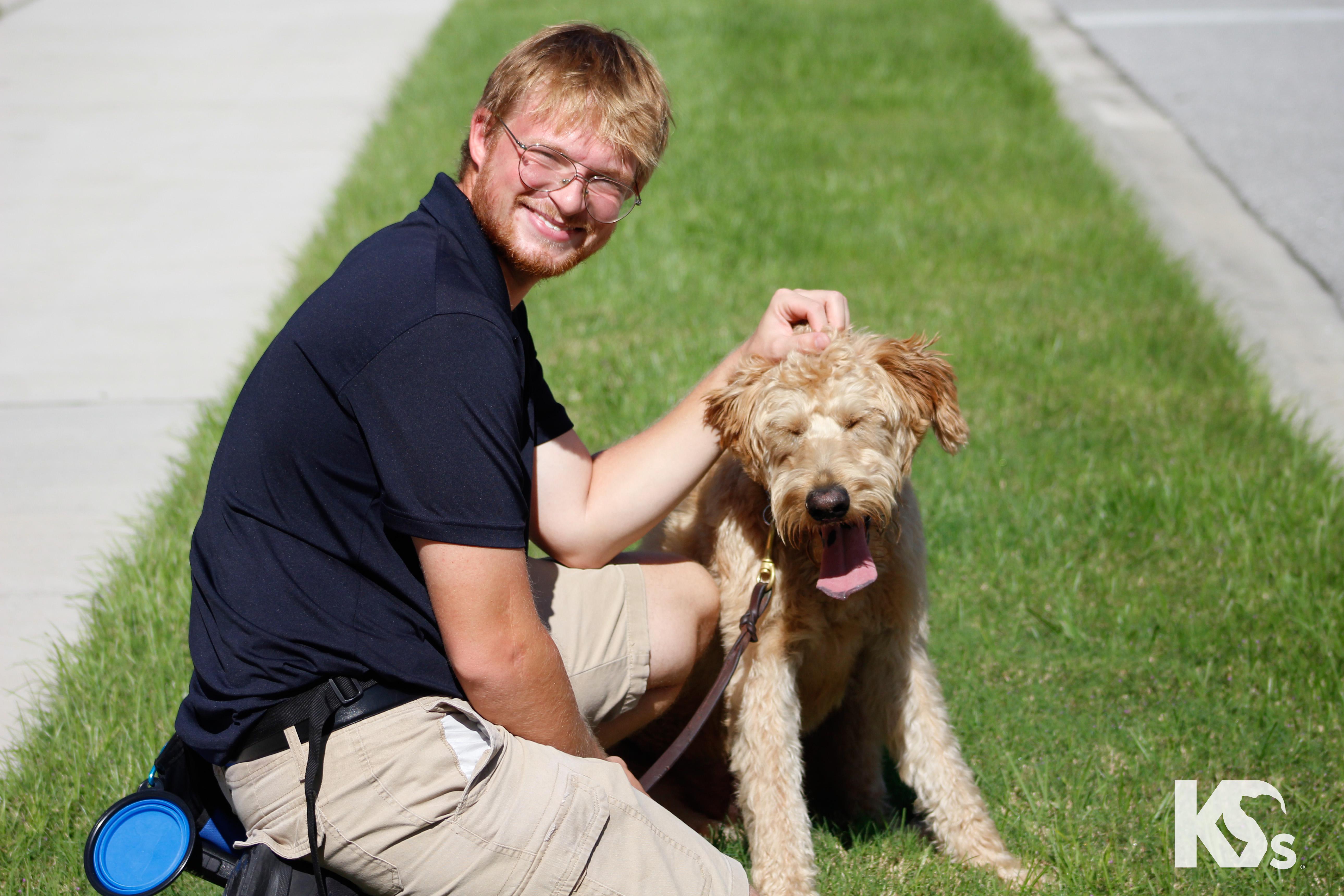Enlarge Benji, a Adoptable Goldendoodle in Ponte Vedra, FL image 3/4