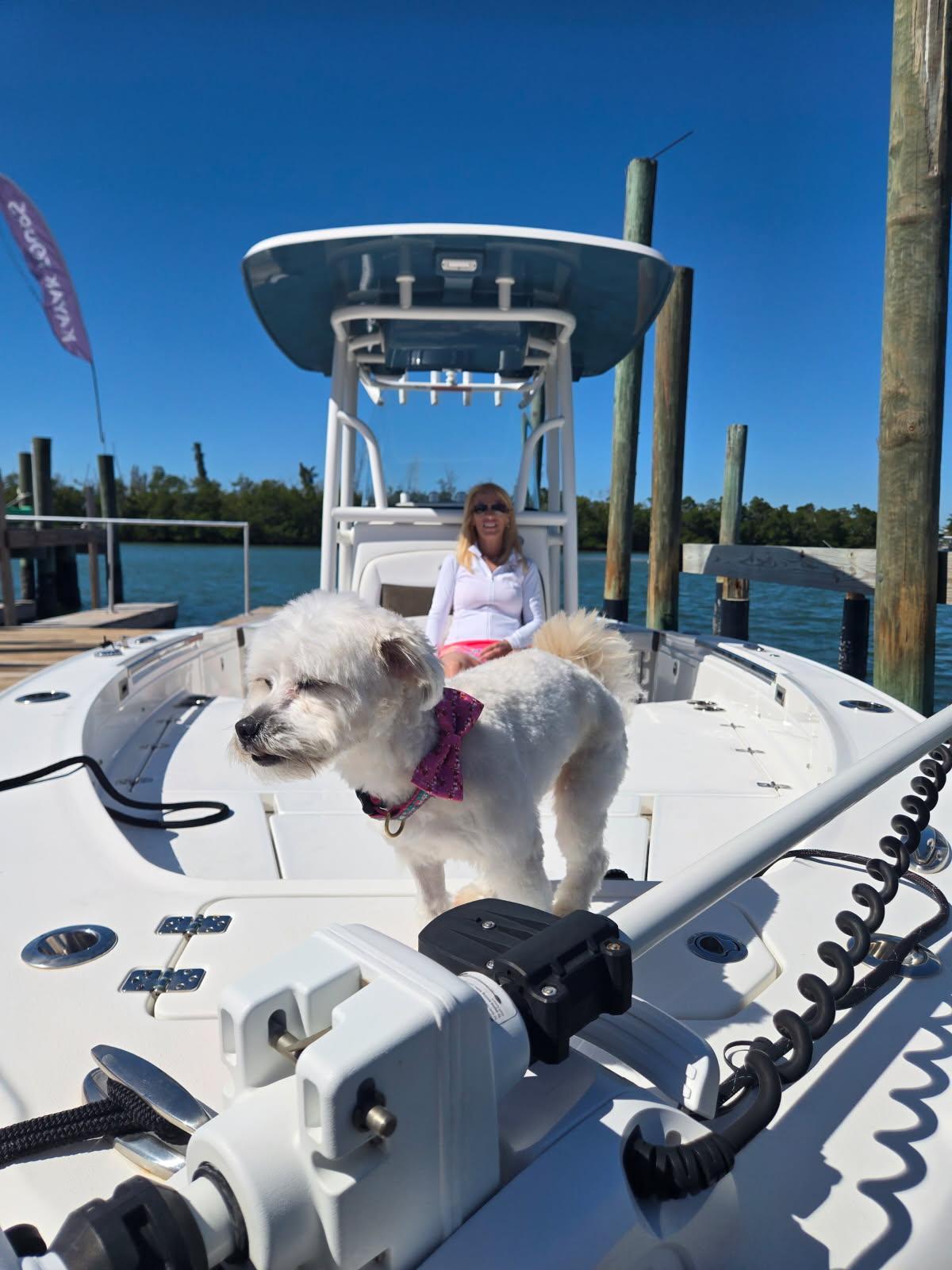 Enlarge Pooh Bear, an adopted mixed breed in Cape Coral, FL image 1/3