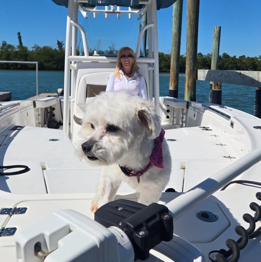 Enlarge Pooh Bear, an adopted mixed breed in Cape Coral, FL image 3/3