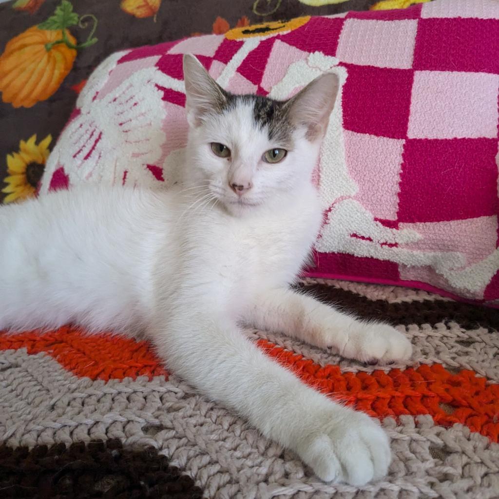 Parker — thumbnail 2