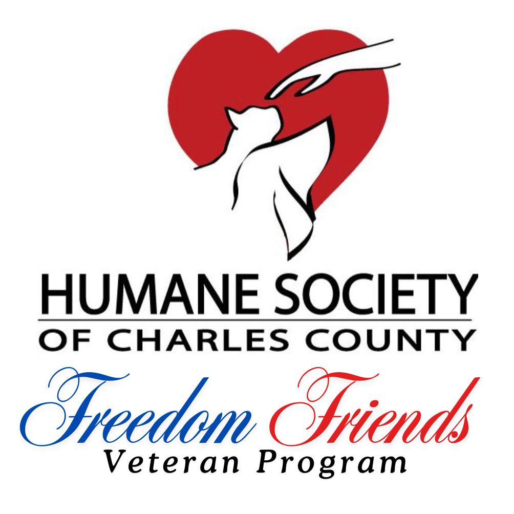 Enlarge Mama Kitty, a Adoptable Domestic Short Hair in Waldorf, MD image 3/6