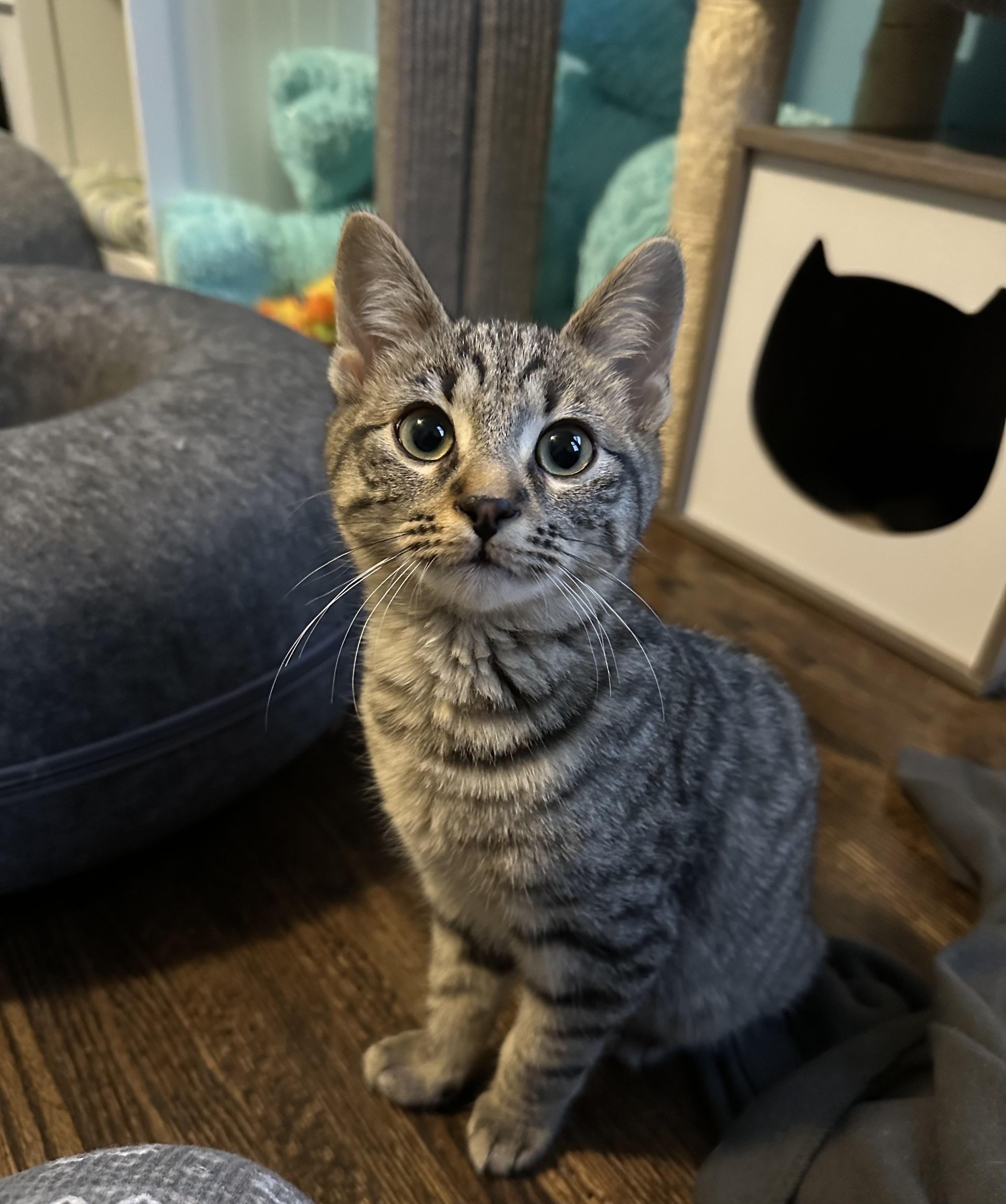 Fiyero, Young Male unknown