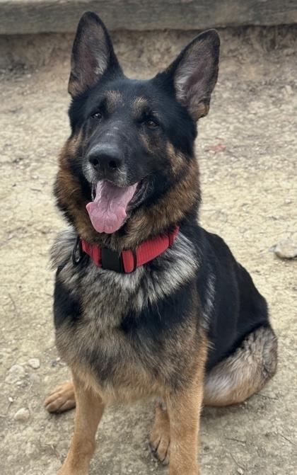 Bruce Lee — thumbnail 2