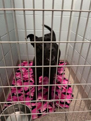 Legend — thumbnail 2