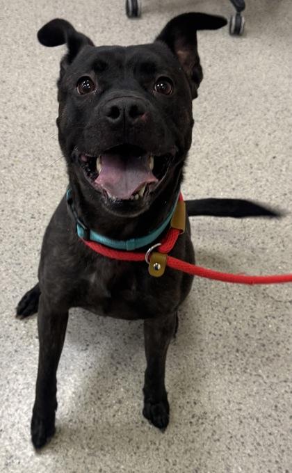 Legend — thumbnail 3