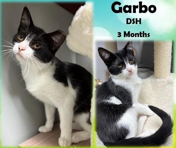Garbo