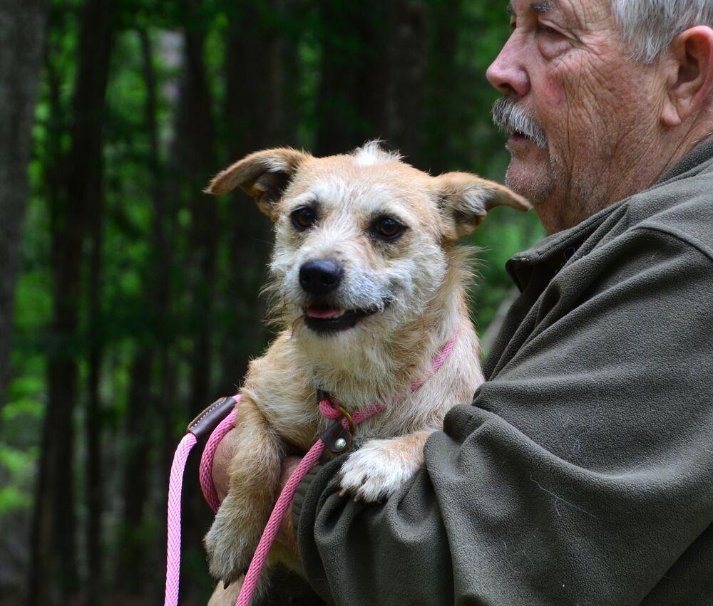 Bristol, a Adoptable mixed breed in Willingboro, NJ image 6/6
