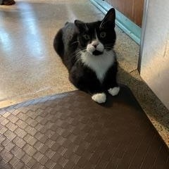 Tom