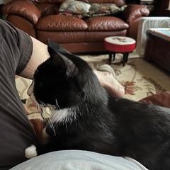 Tom