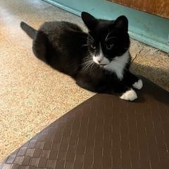 Tom