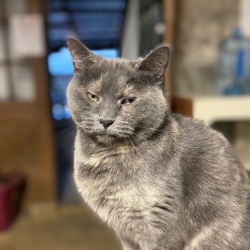 Hearts — thumbnail 5