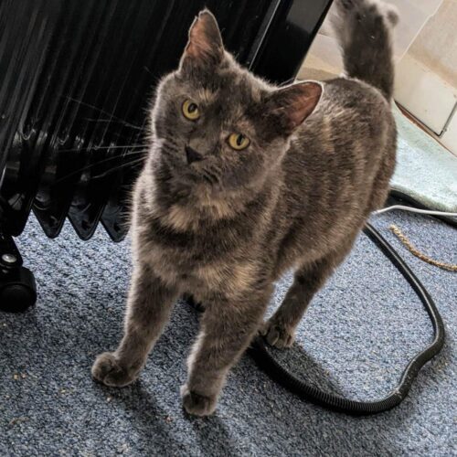 Hearts — thumbnail 6