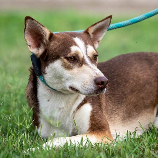 Mullen JuM — thumbnail 2