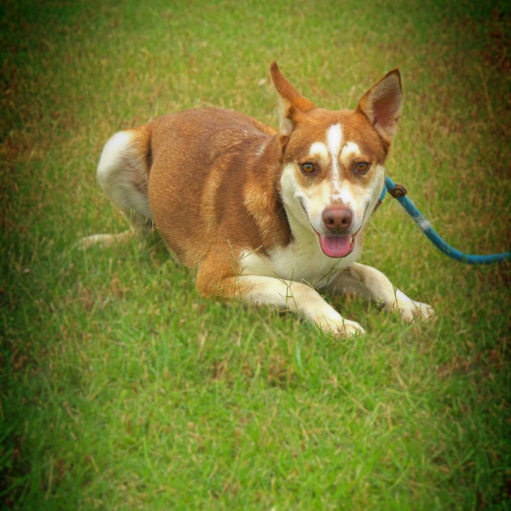 Mullen JuM — thumbnail 3