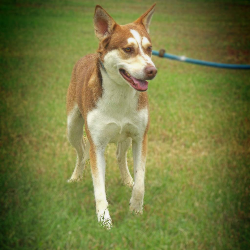 Mullen JuM — thumbnail 4