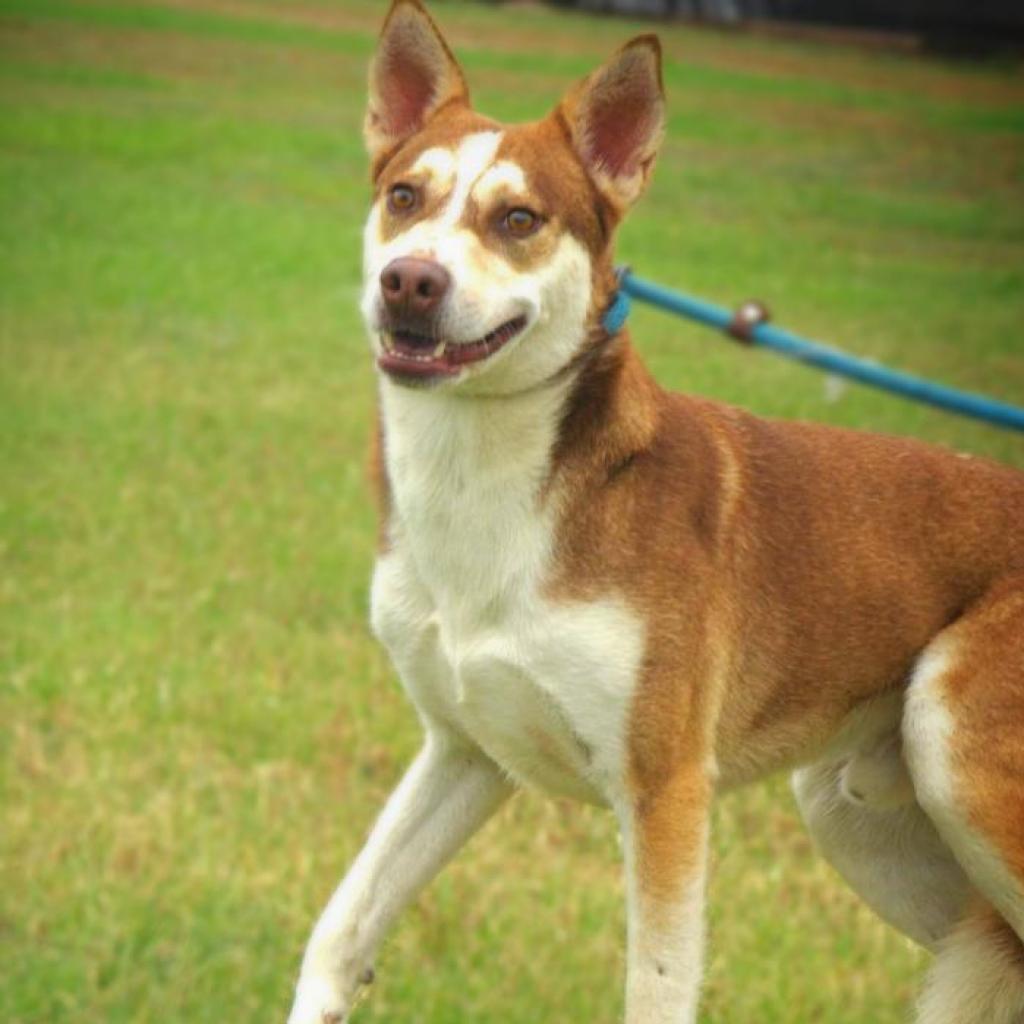 Mullen JuM — thumbnail 5