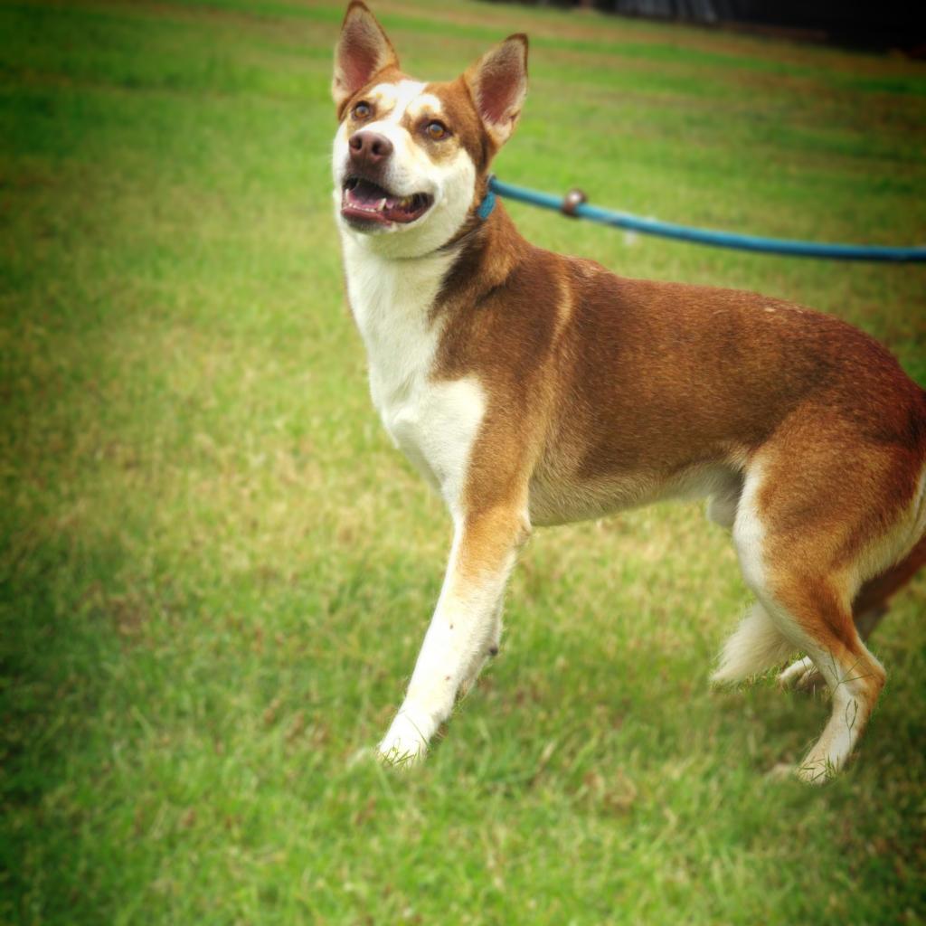 Mullen JuM — thumbnail 6