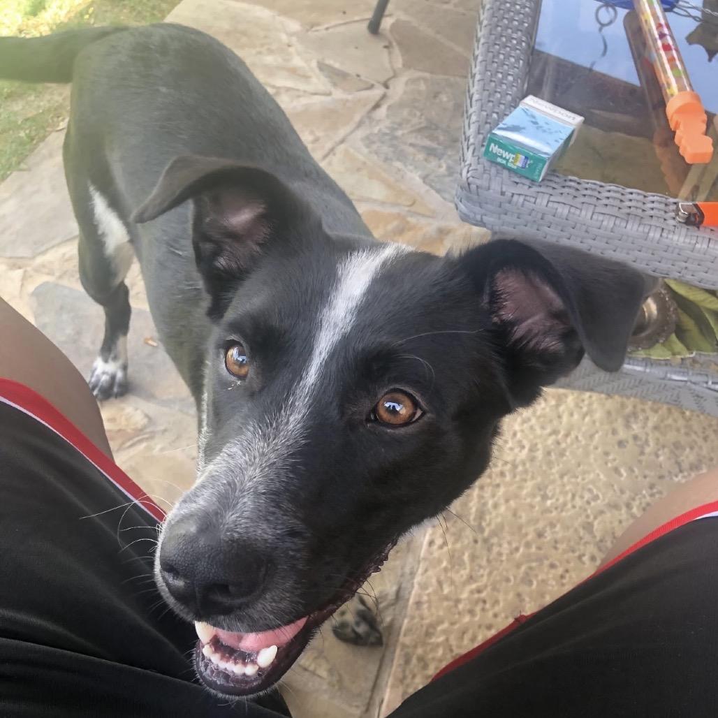 Orie — thumbnail 2