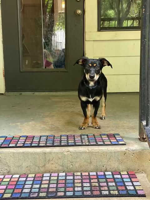 Indigo (TX) photo 2