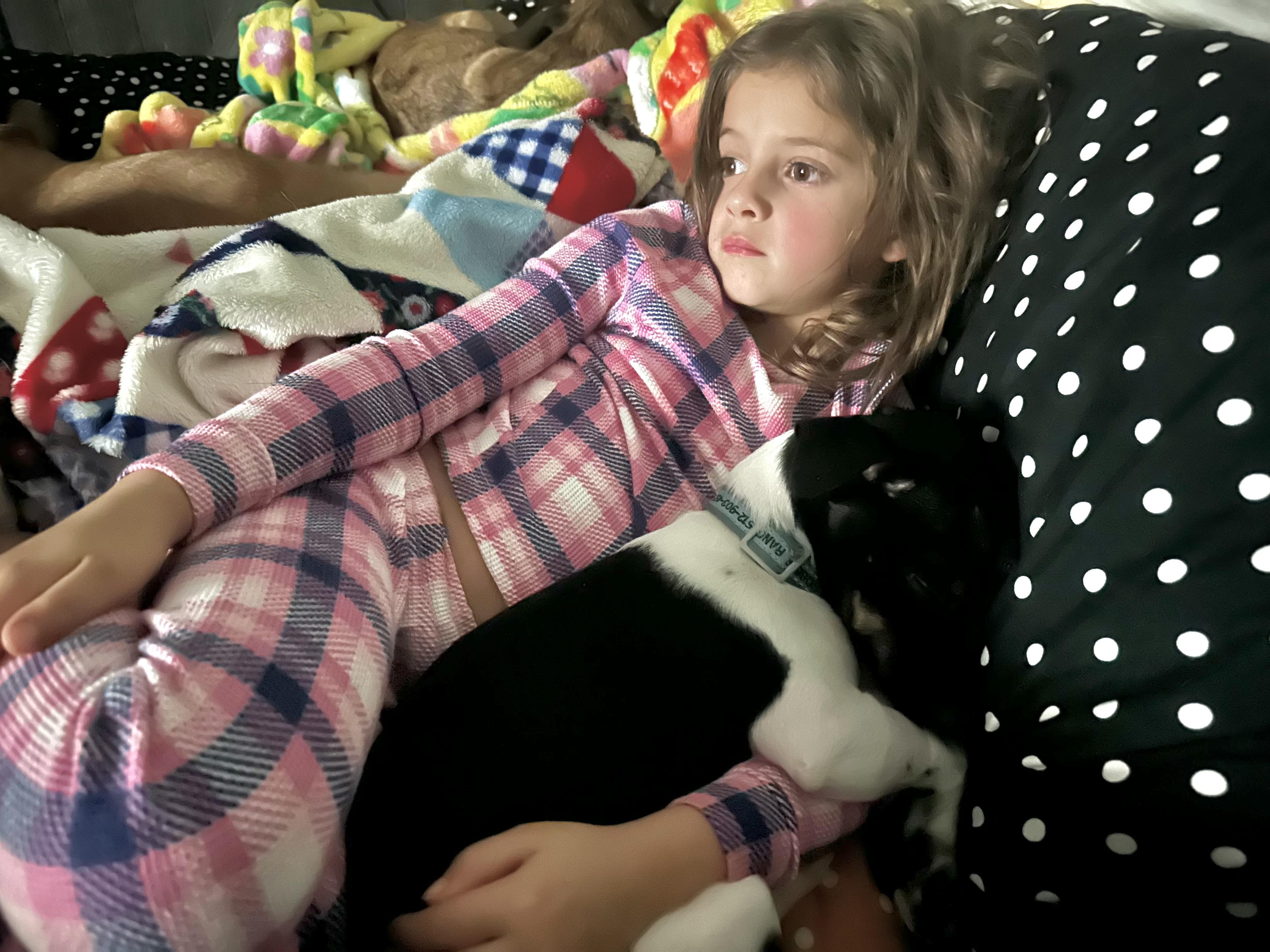 Enlarge Theo, an adopted mixed breed in West Islip, NY image 4/6