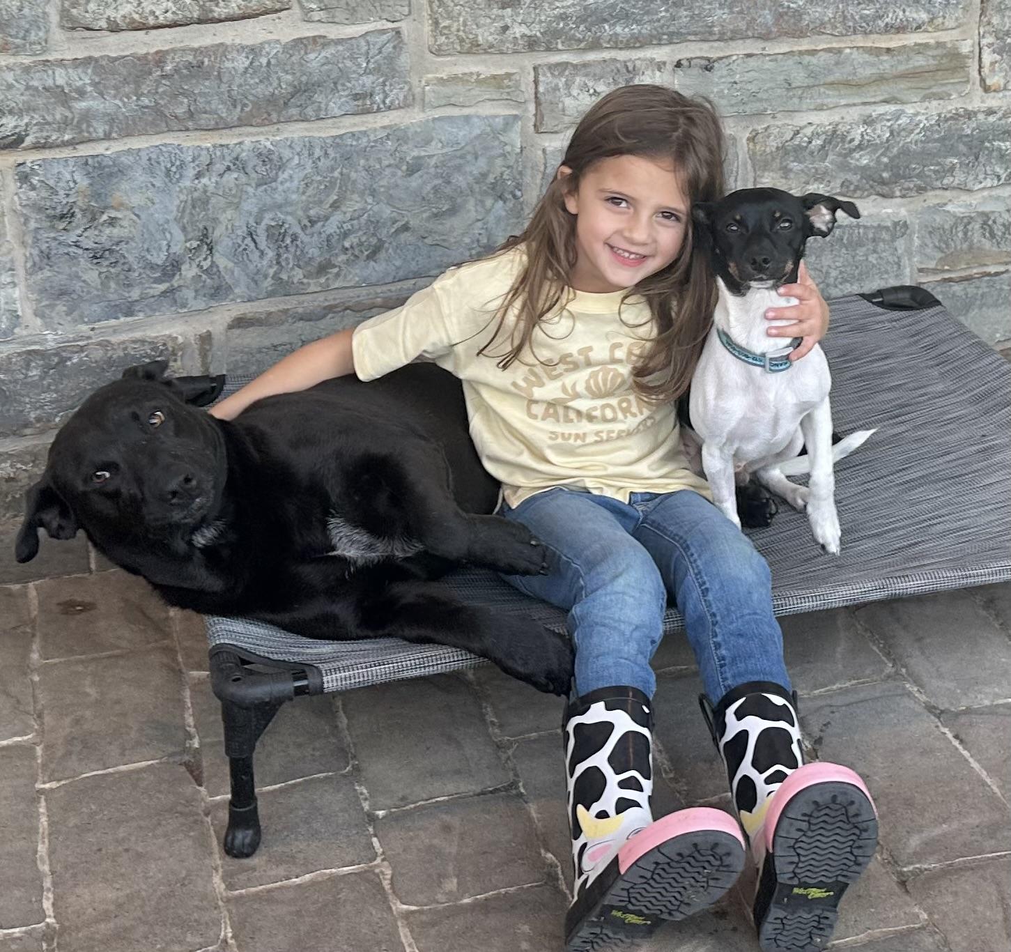 Enlarge Theo, an adopted mixed breed in West Islip, NY image 2/6