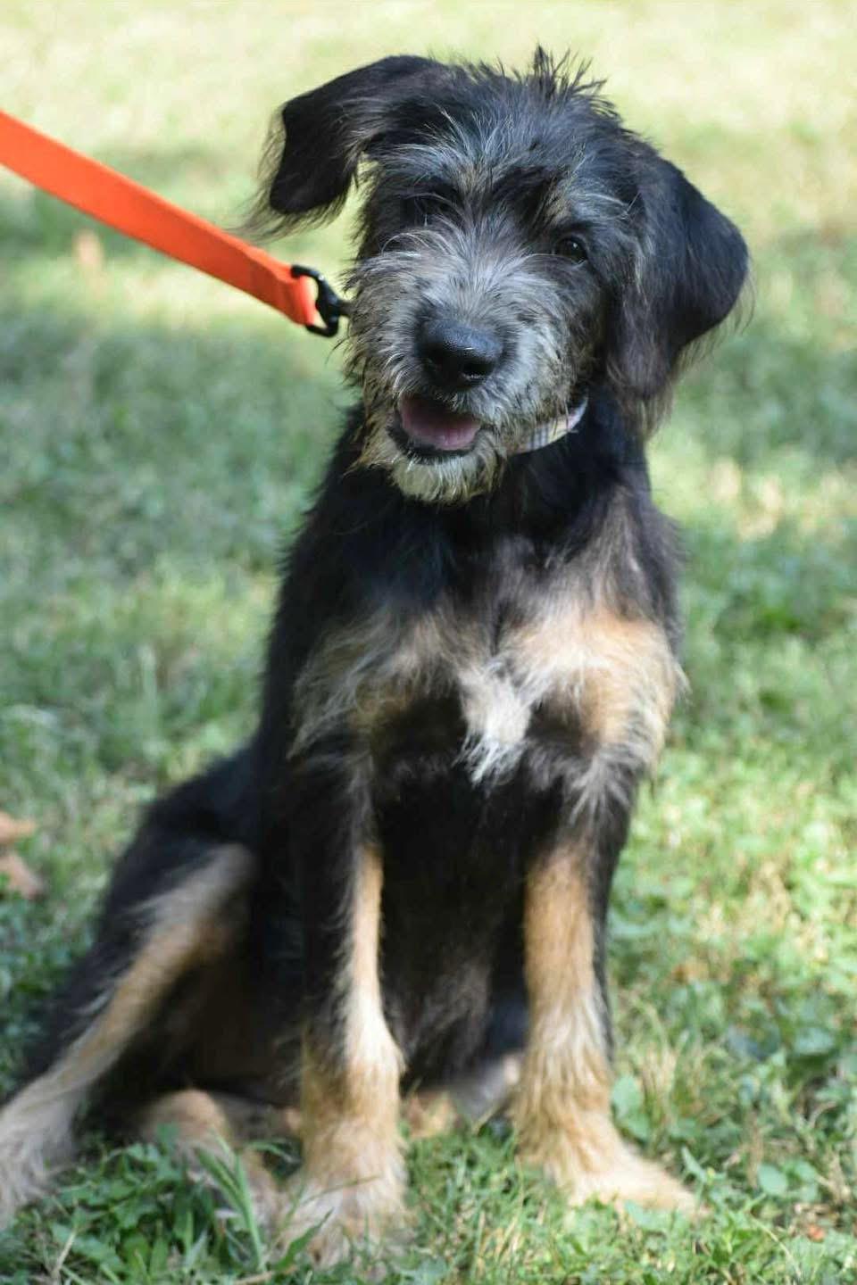 Coco