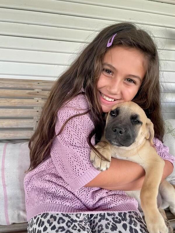 Enlarge Indy Douglas, an adopted mixed breed in Vancouver, WA image 3/6