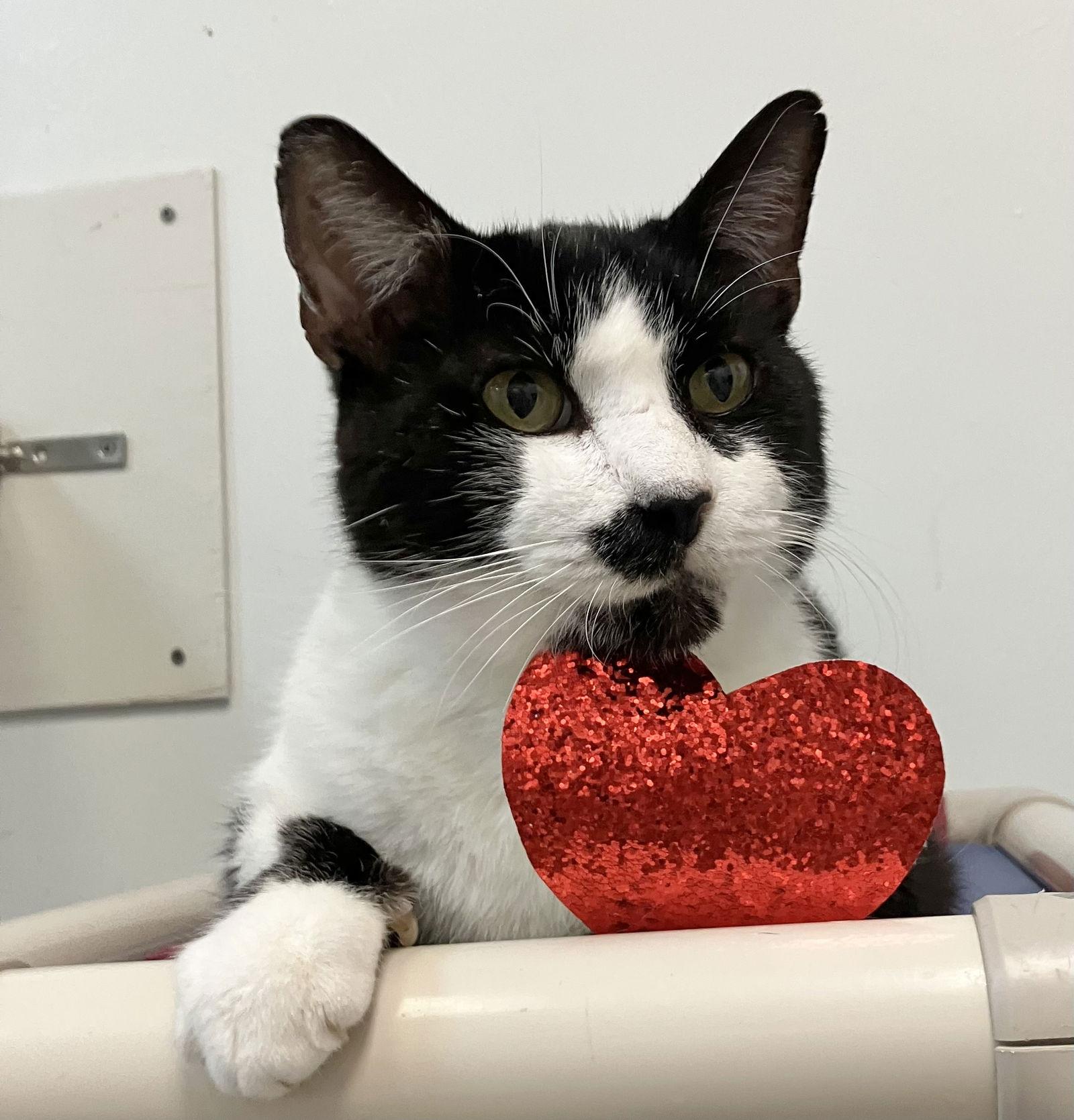 Stashie — thumbnail 3