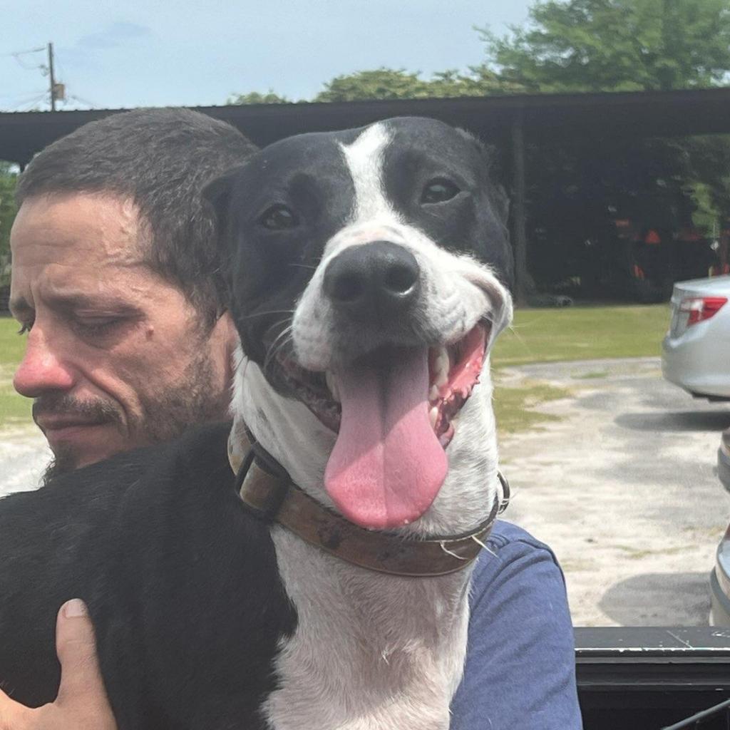 Issa — thumbnail 6