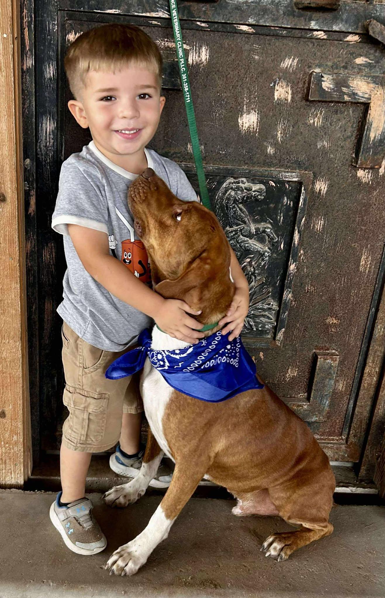 Enlarge Tux, a Adoptable mixed breed in Atlanta, GA image 2/6