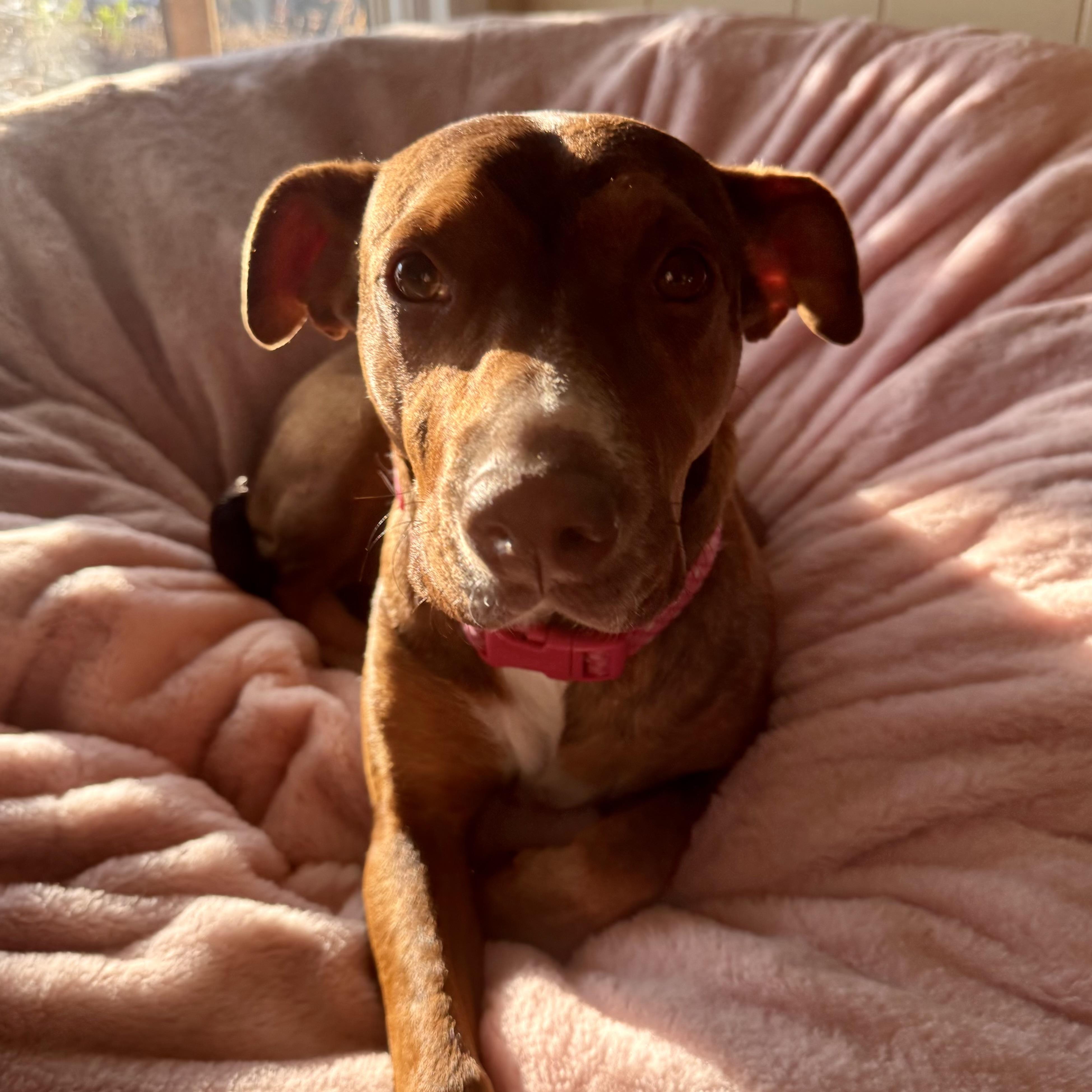 Tie Dye — thumbnail 4