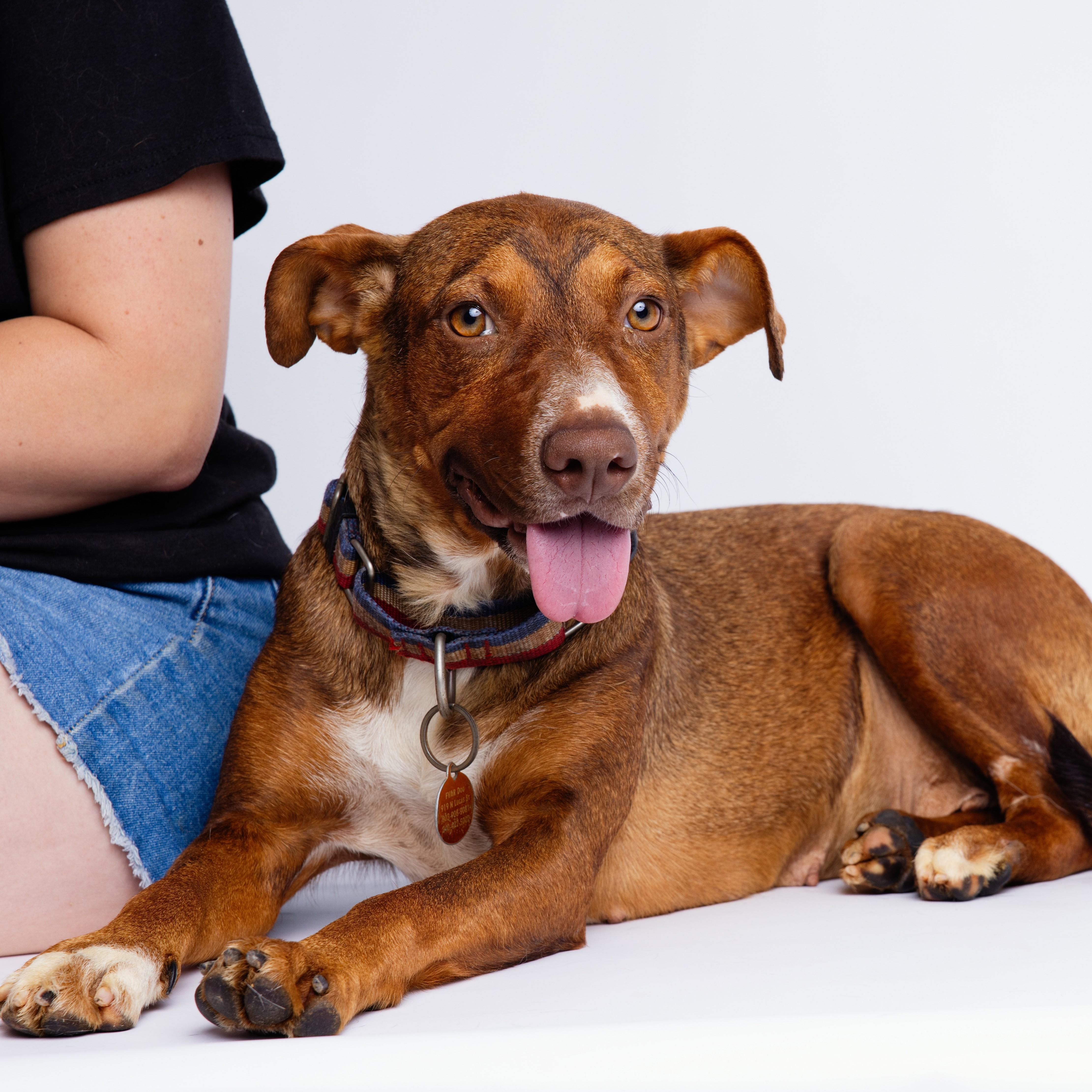 Tie Dye — thumbnail 6