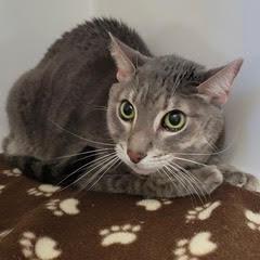 Dusk — thumbnail 2