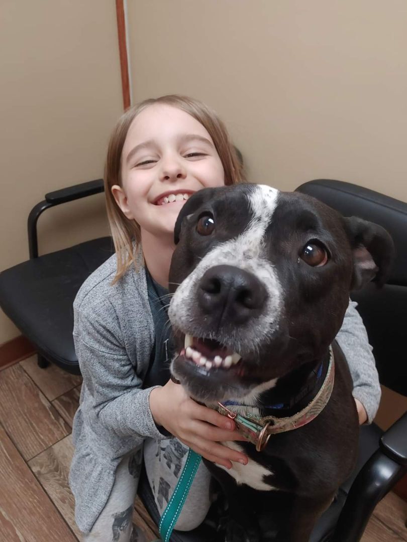 Sadie, a Adoptable mixed breed in Lubbock, TX image 2/4