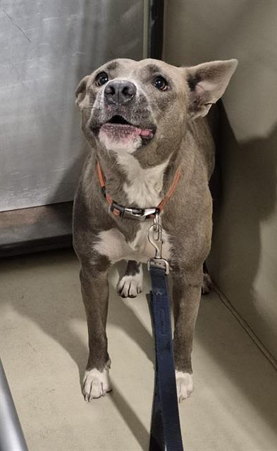 Cassidy -- URGENT!!!