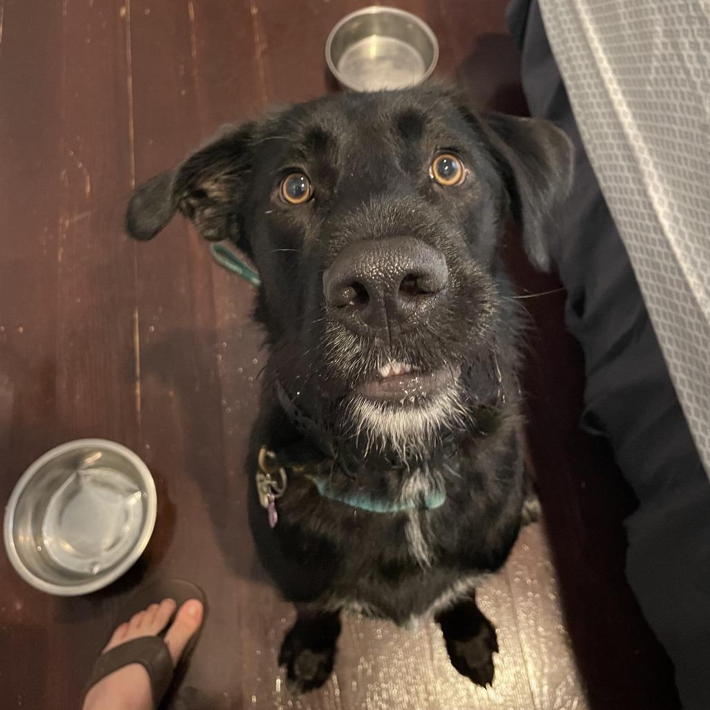 Jorts (fka Jett Ryder)