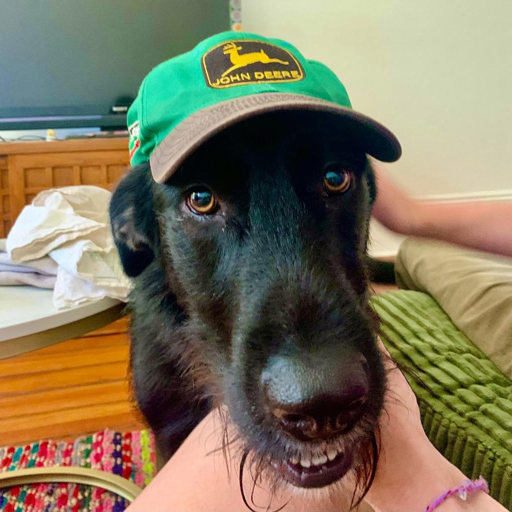 Jorts (fka Jett Ryder) — thumbnail 2