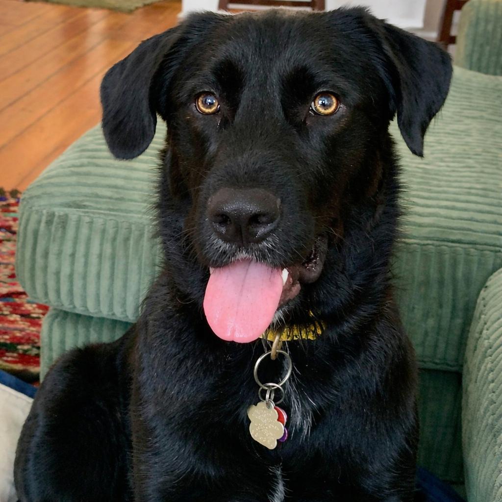 Jorts (fka Jett Ryder) — thumbnail 4