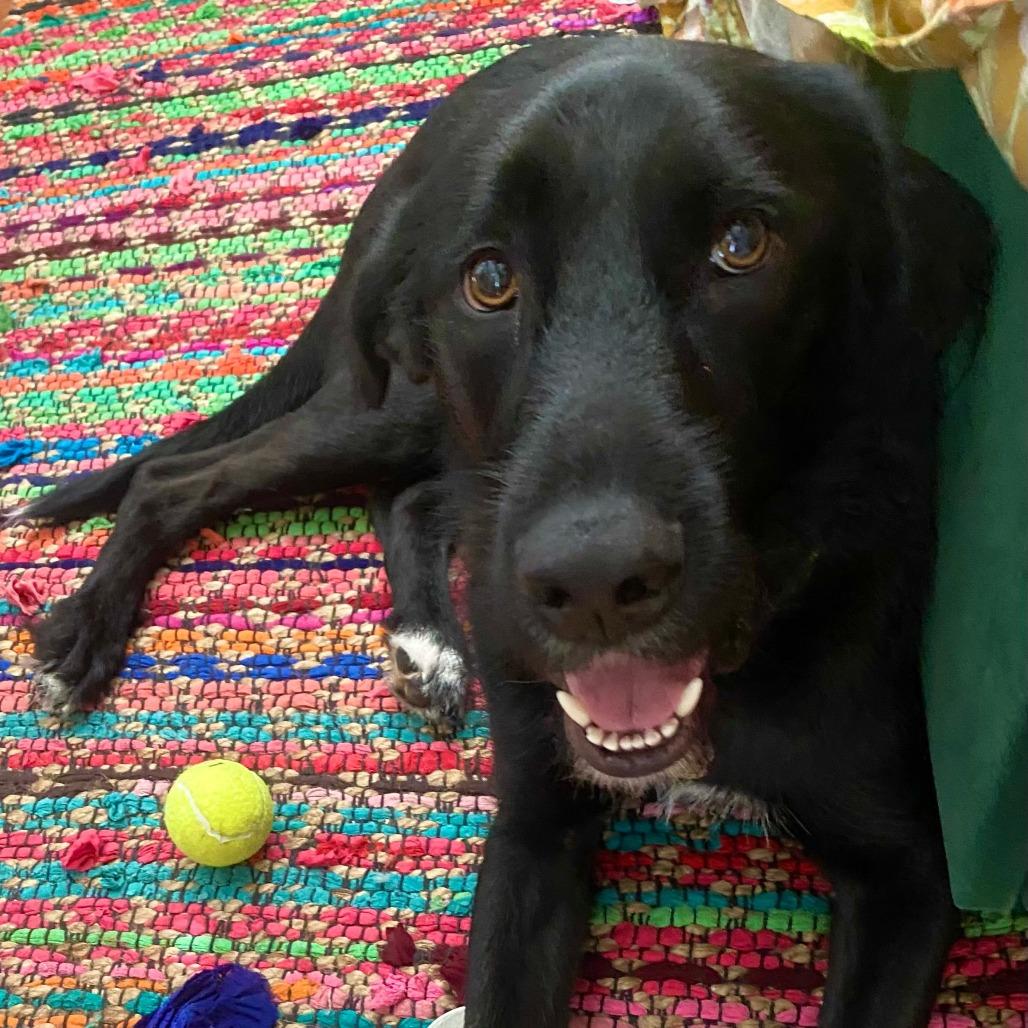 Jorts (fka Jett Ryder) — thumbnail 5