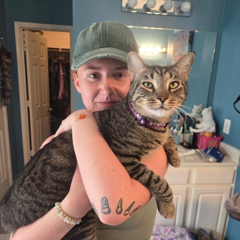 Enlarge Mack (available now!), an adoptable mixed breed in Houston, TX image 6/6