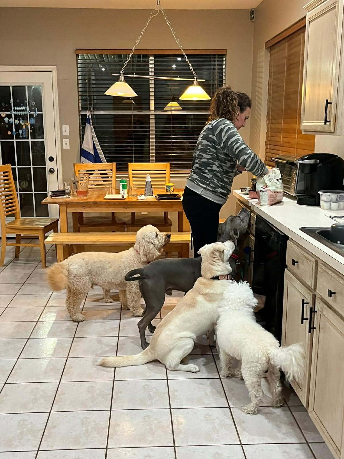 Enlarge Mafalda, a Adoptable mixed breed in Humble, TX image 3/6