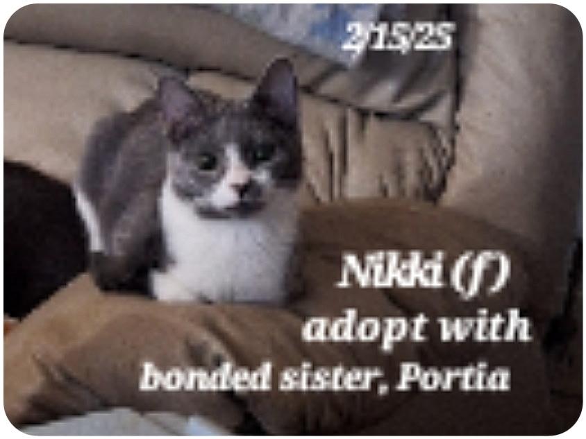 nikki and portia  bonded sisters
