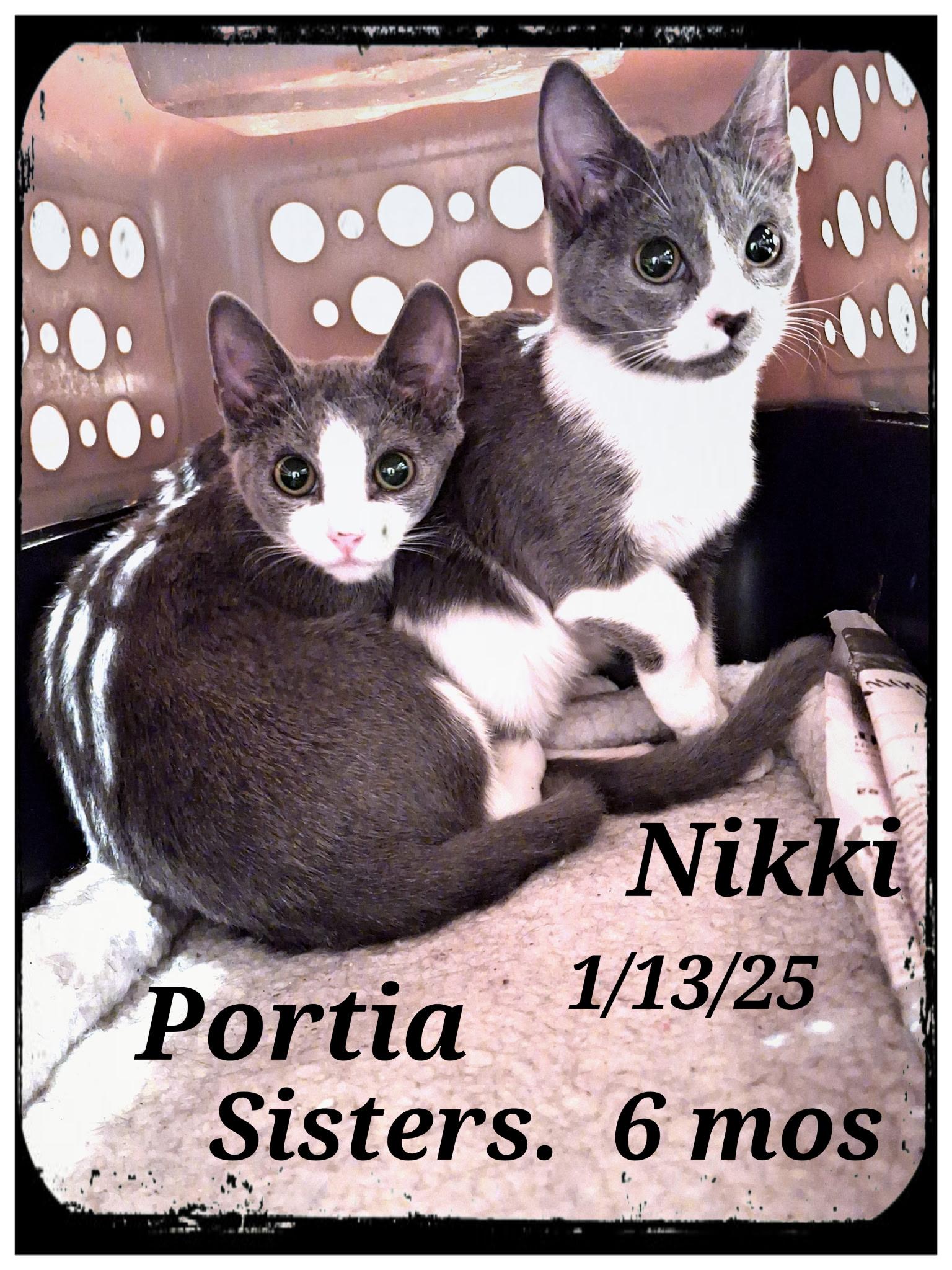 nikki and portia  bonded sisters