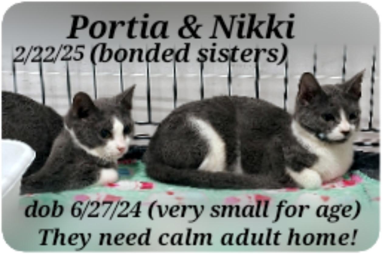 nikki and portia  bonded sisters