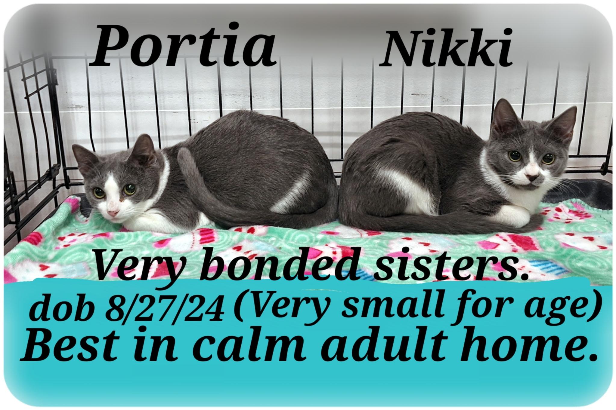 nikki and portia  bonded sisters
