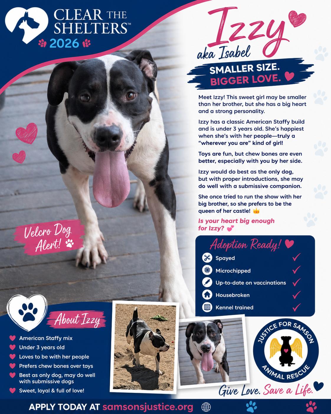 Enlarge Isabel, a Adoptable mixed breed in Falfurrias, TX image 2/3