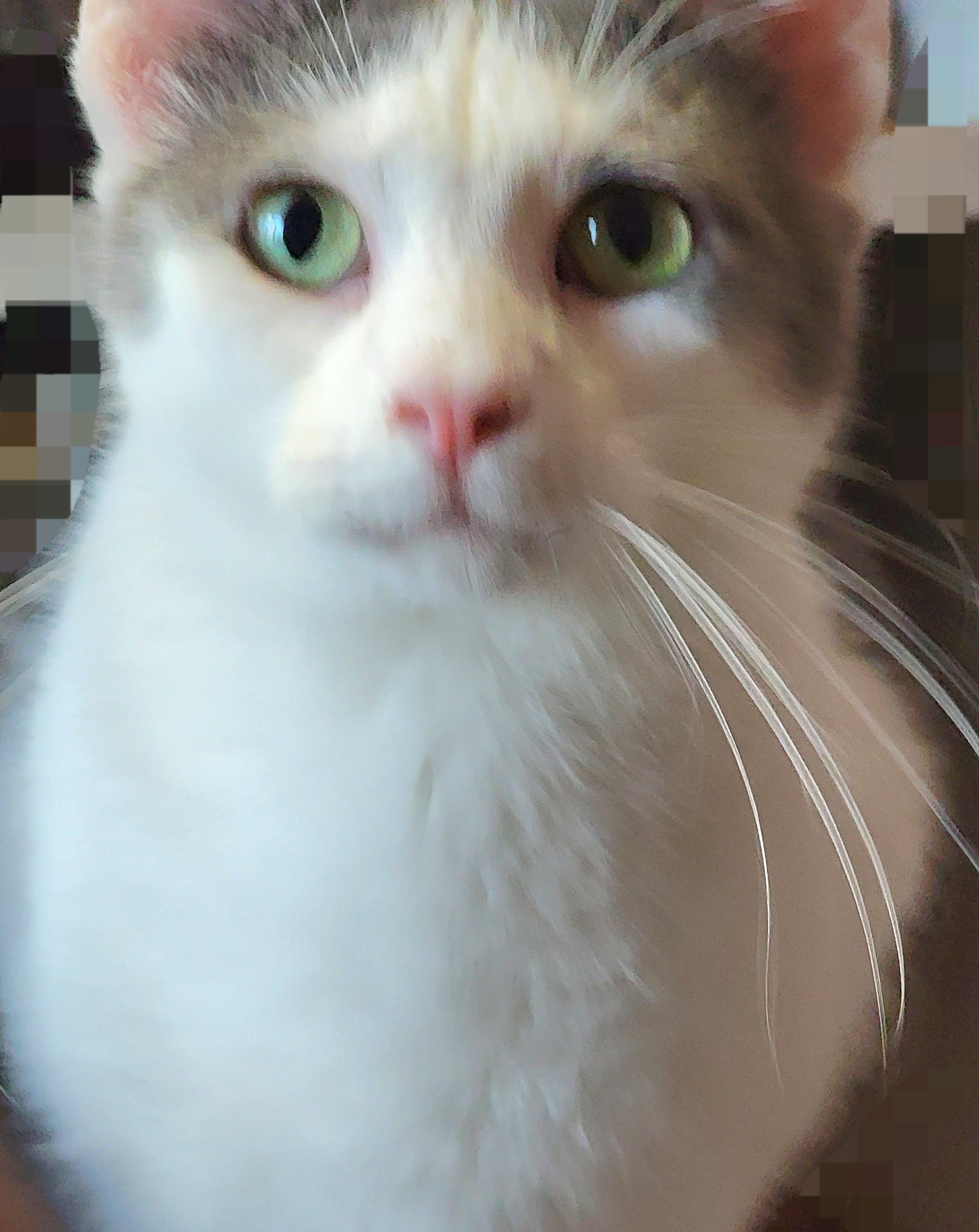 Carl