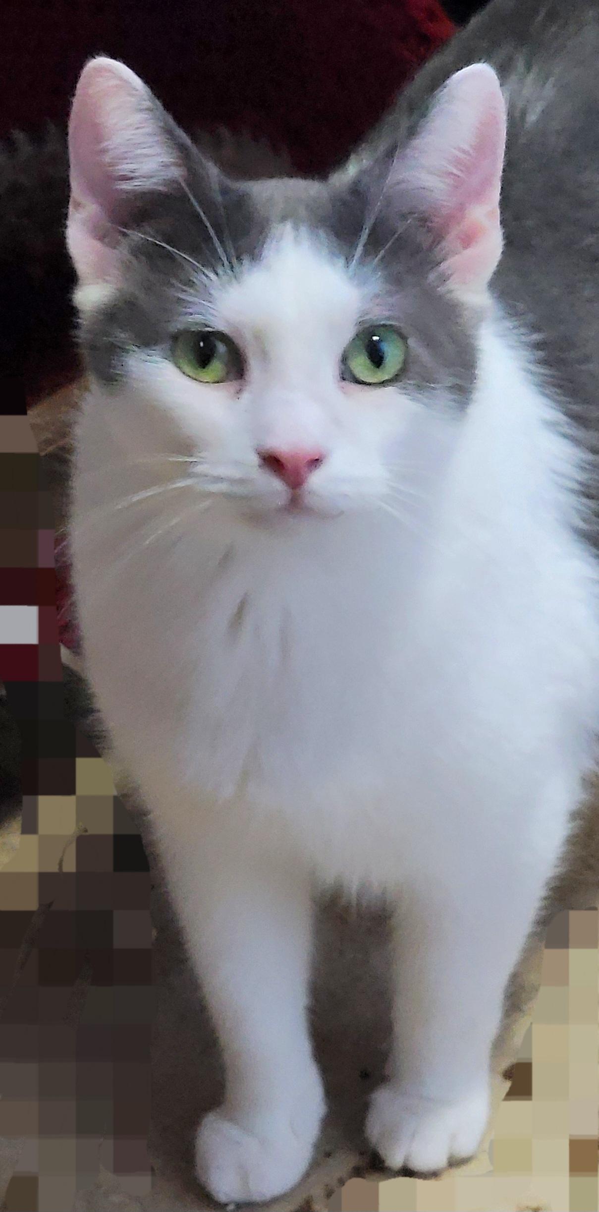 Carl
