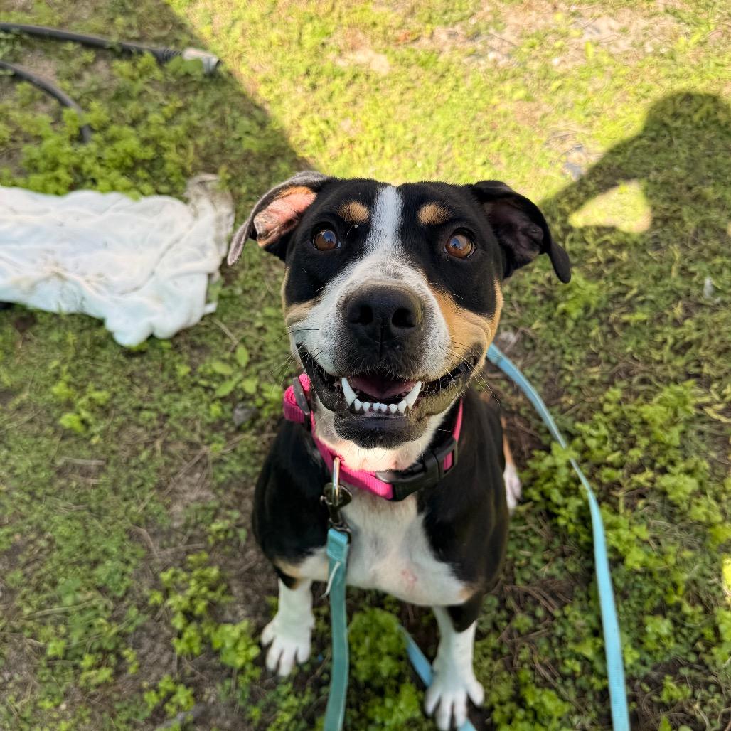 Alberta — thumbnail 2