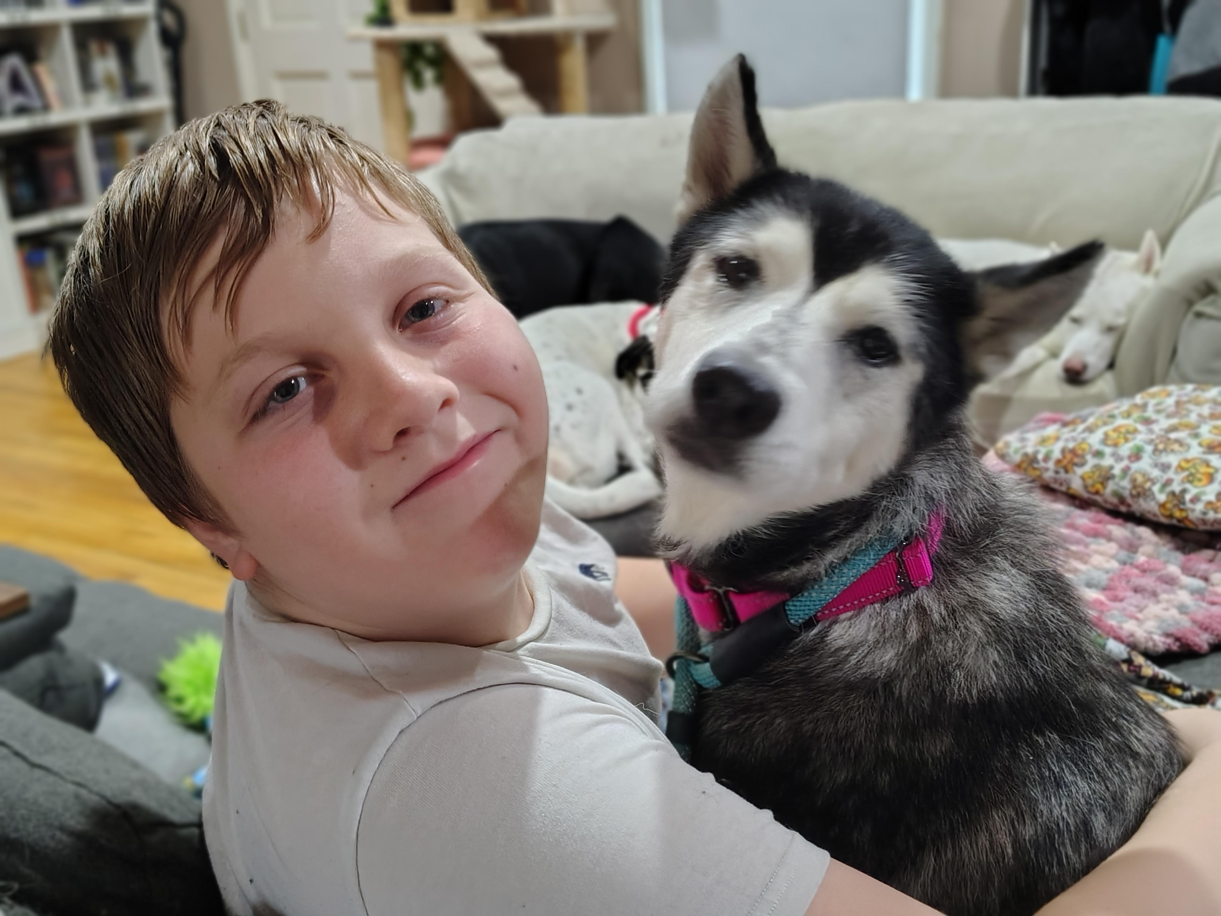 Enlarge Cirilla, a ADOPTABLE Siberian Husky in Cumming, GA image 3/4